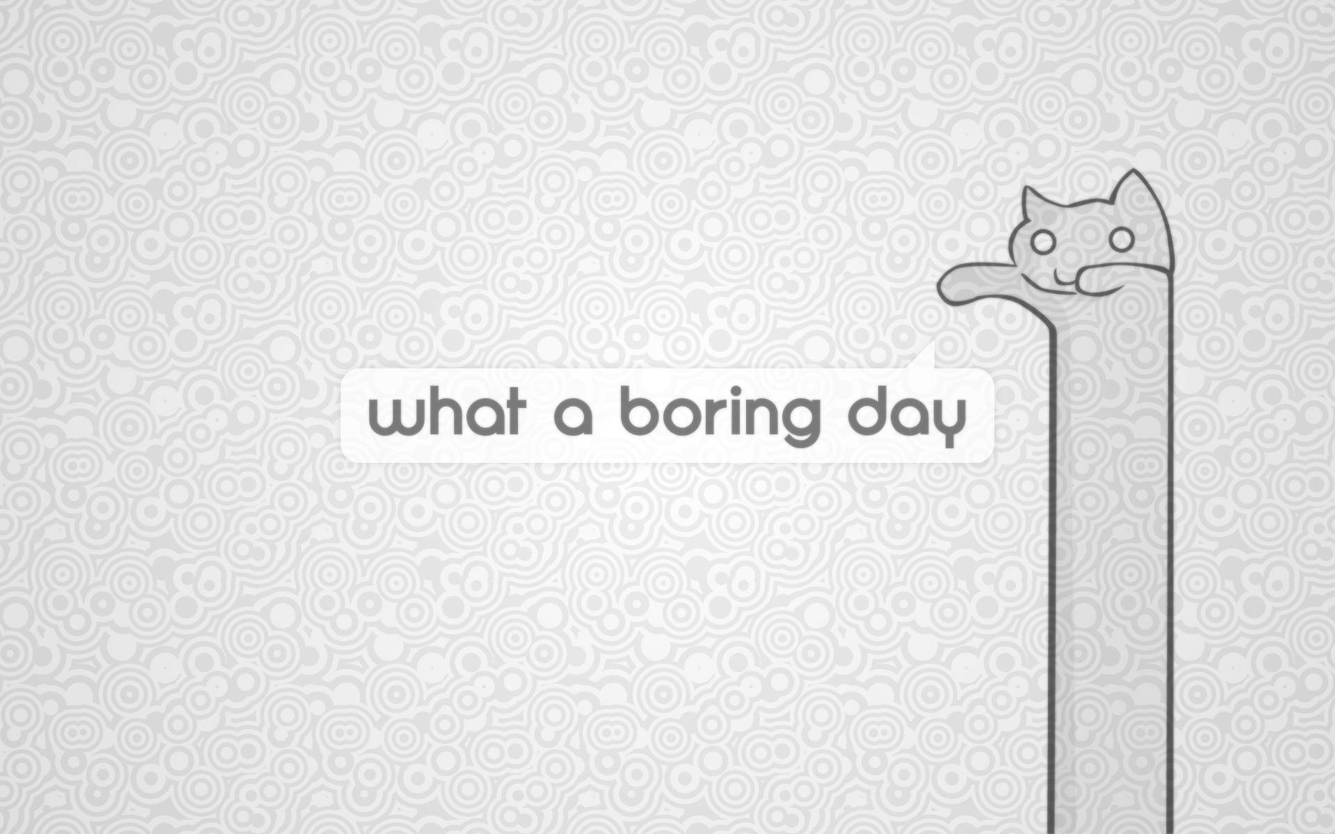 Download boring day cartoon cat art wallpaper