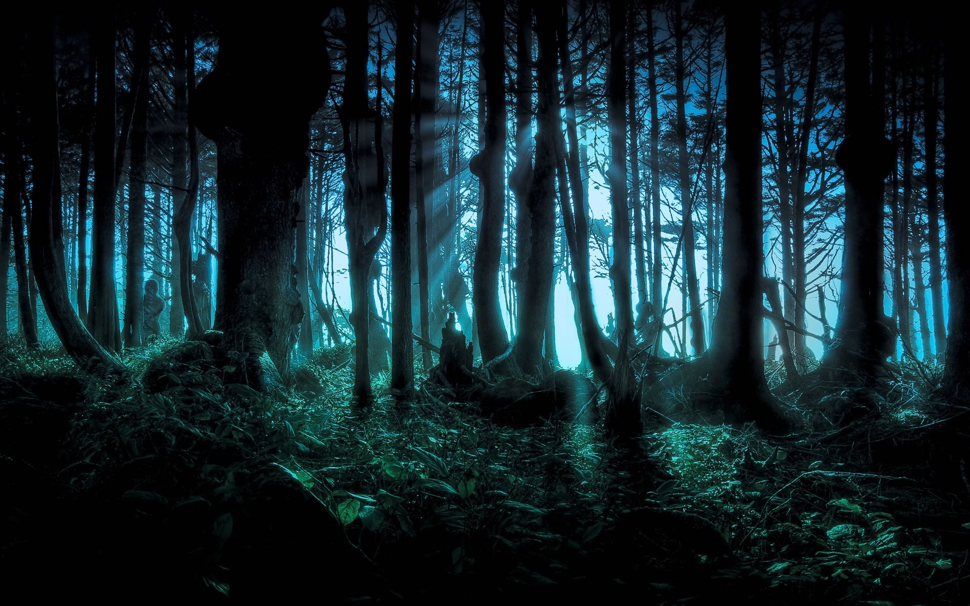 Bosque tenebroso | lydiia92 | Flickr