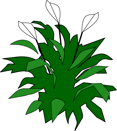 Green plant with white flowers clip art image