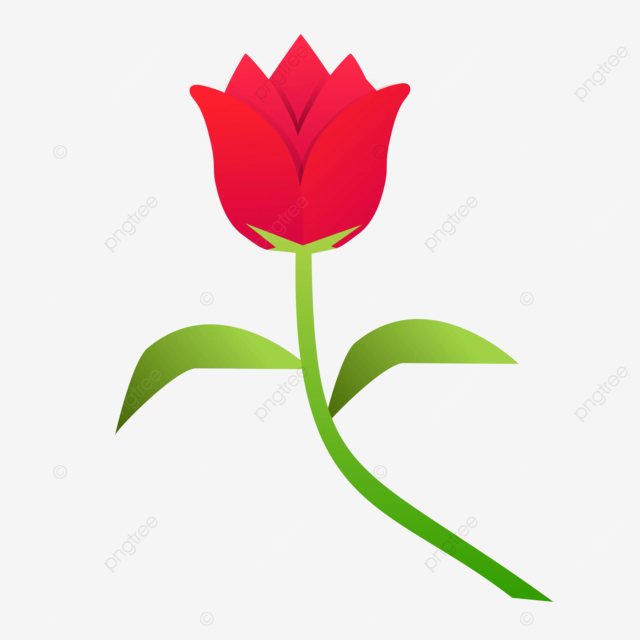 Flower vector basic color flower vector beautiful flower png and vector with transparent background for free download