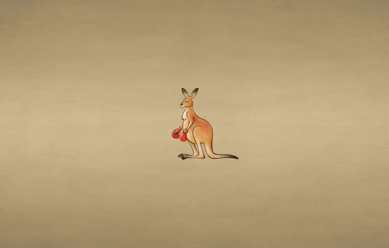 Wallpaper animal minimalism kangaroo boxing gloves kangaroo dark background a discerning eye images for desktop section ððððððððð