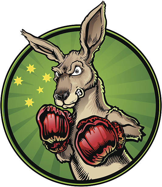 Boxing kangaroo illustrations clip art