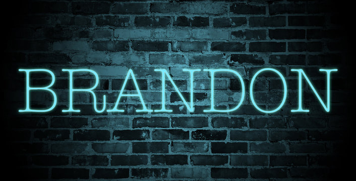 Download Free 100 + brandon wallpaper