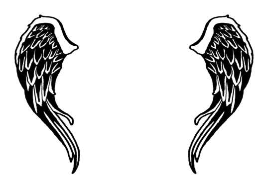 Angel wings png transparent images free download vector files