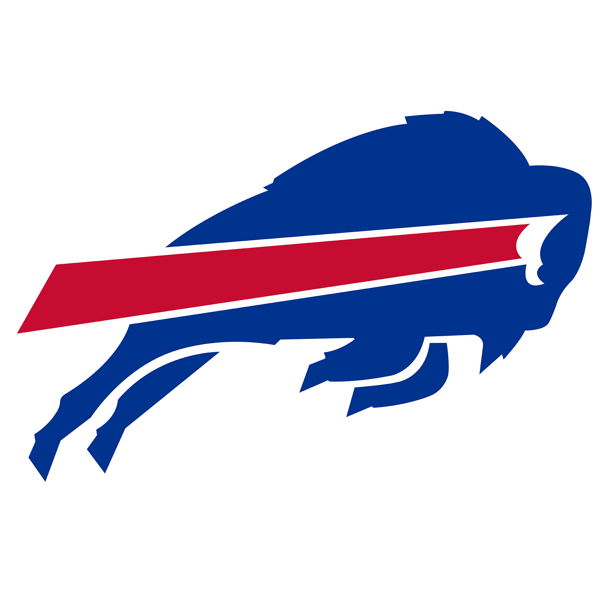 Buffalo bills â creative sports