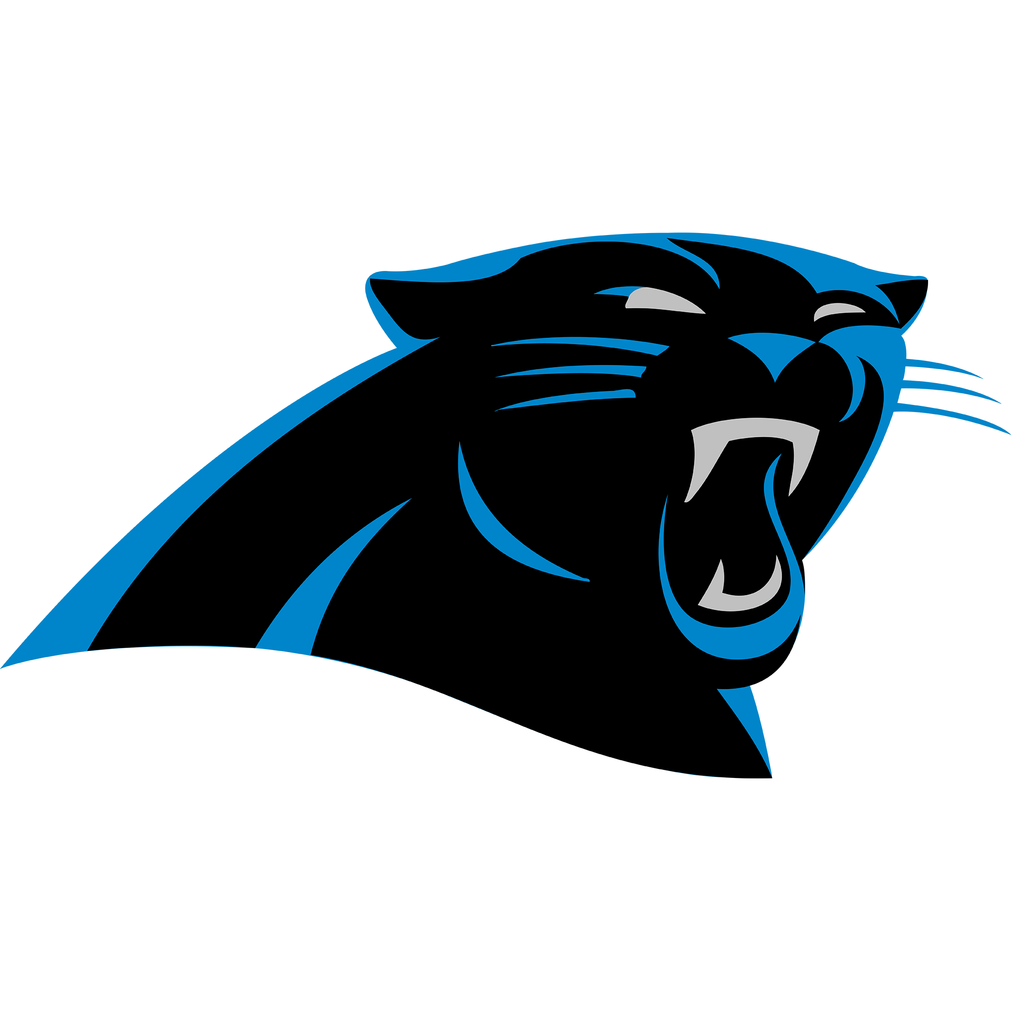 Carolina panthers â creative sports