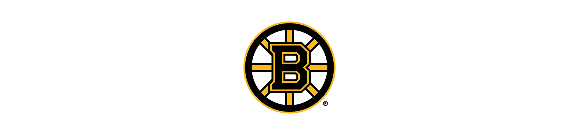 Boston bruins