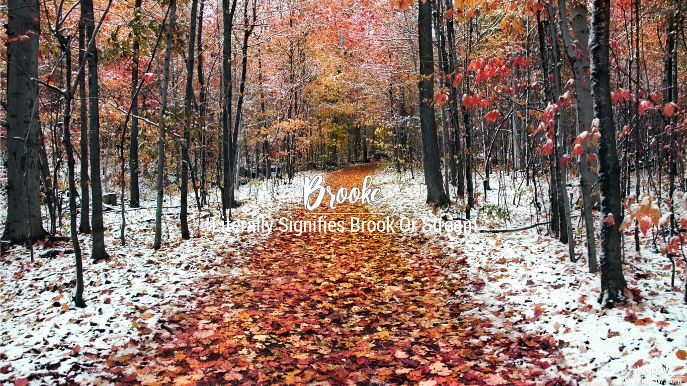 Brooke d name wallpaper for mobile write name on photo online