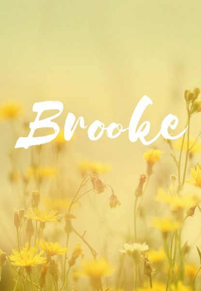 Brooke ideas framed wallpaper flower frame flower background wallpaper