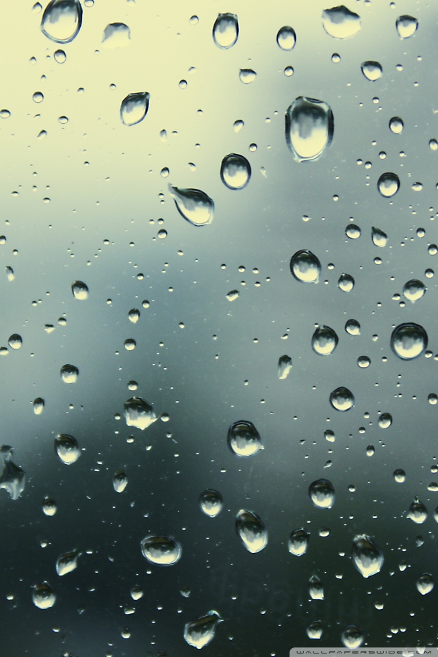 5.rain drops 5 wallpaper