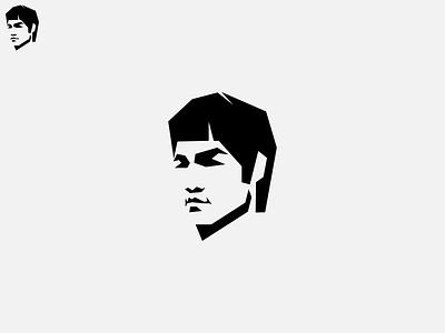 Brucelee designs themes templates and downloadable graphic elements on