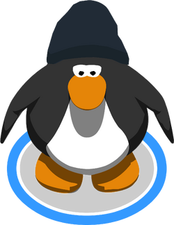 Dark blue beanie club penguin rewritten wiki