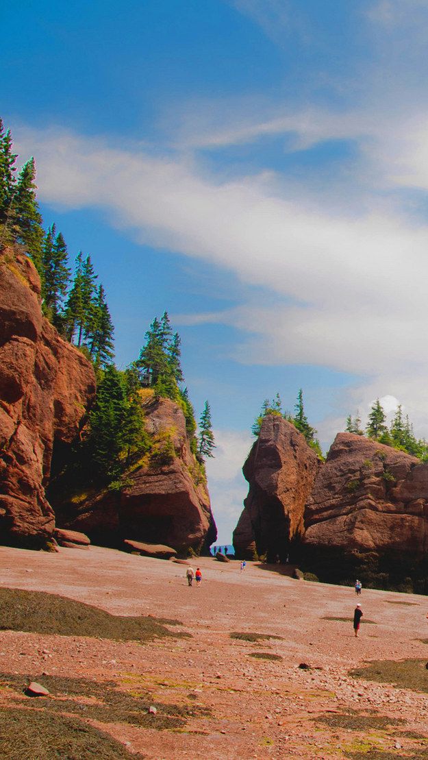 Hopewell rock new brunswick iphone wallpaper new brunswick wallpaper