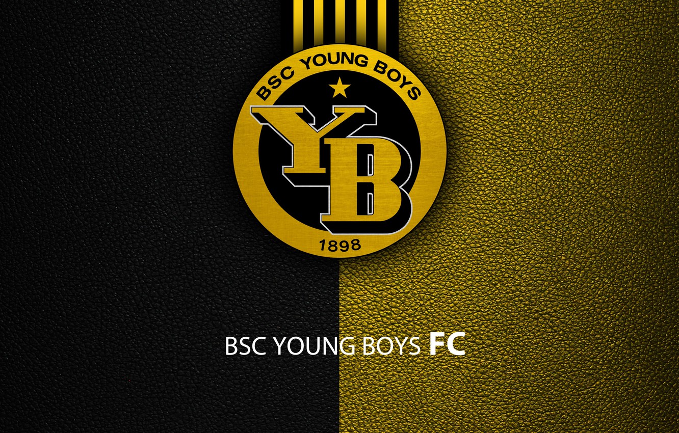 Wallpaper wallpaper sport logo football bsc young boys images for desktop section ñððññ