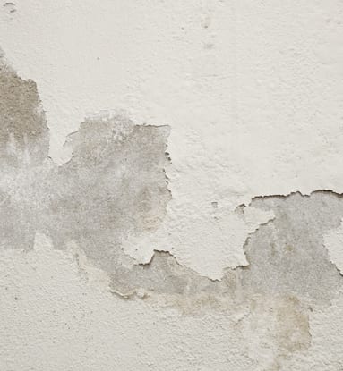 Top signs of rising damp