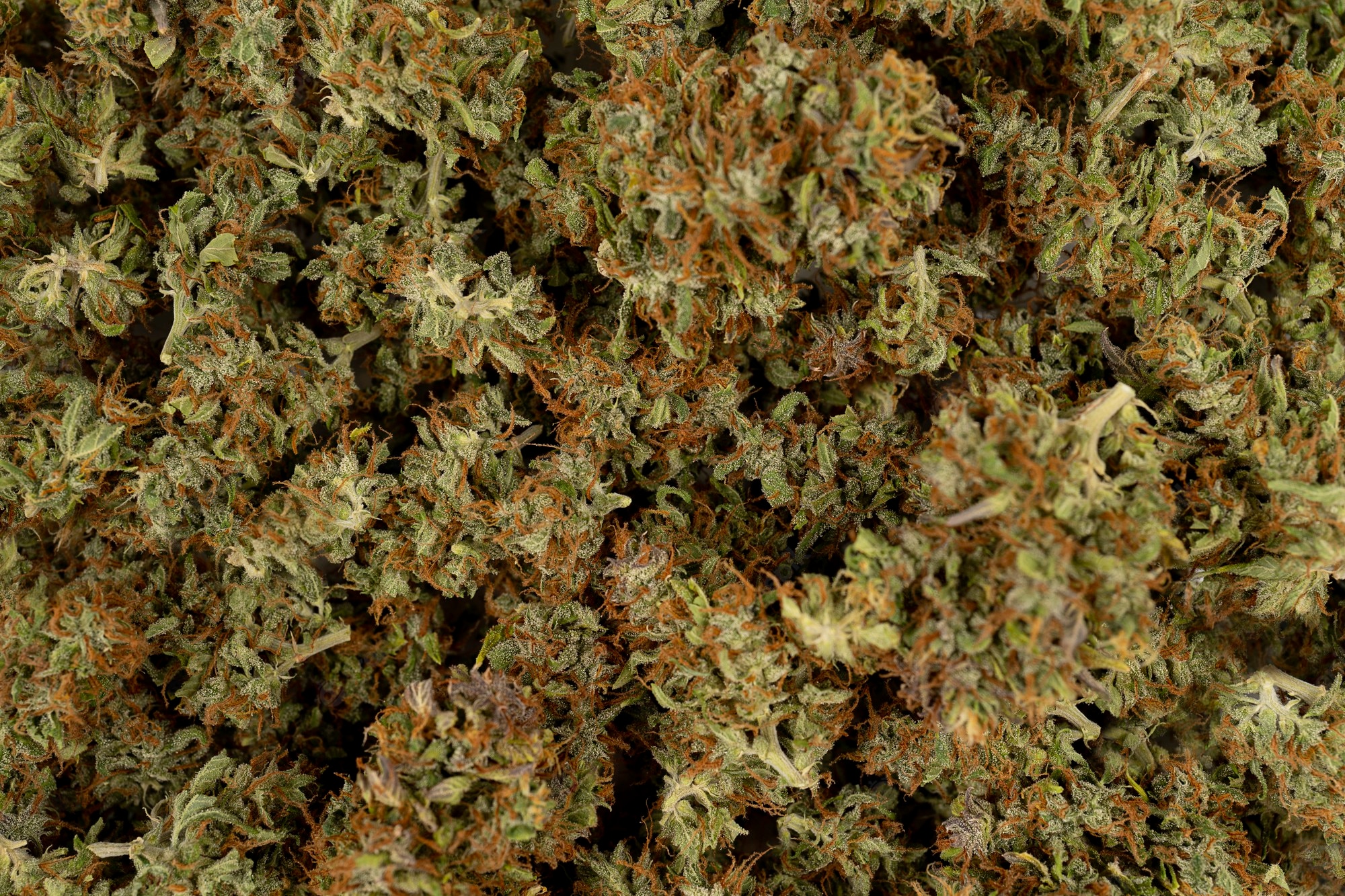 weed buds wallpaper