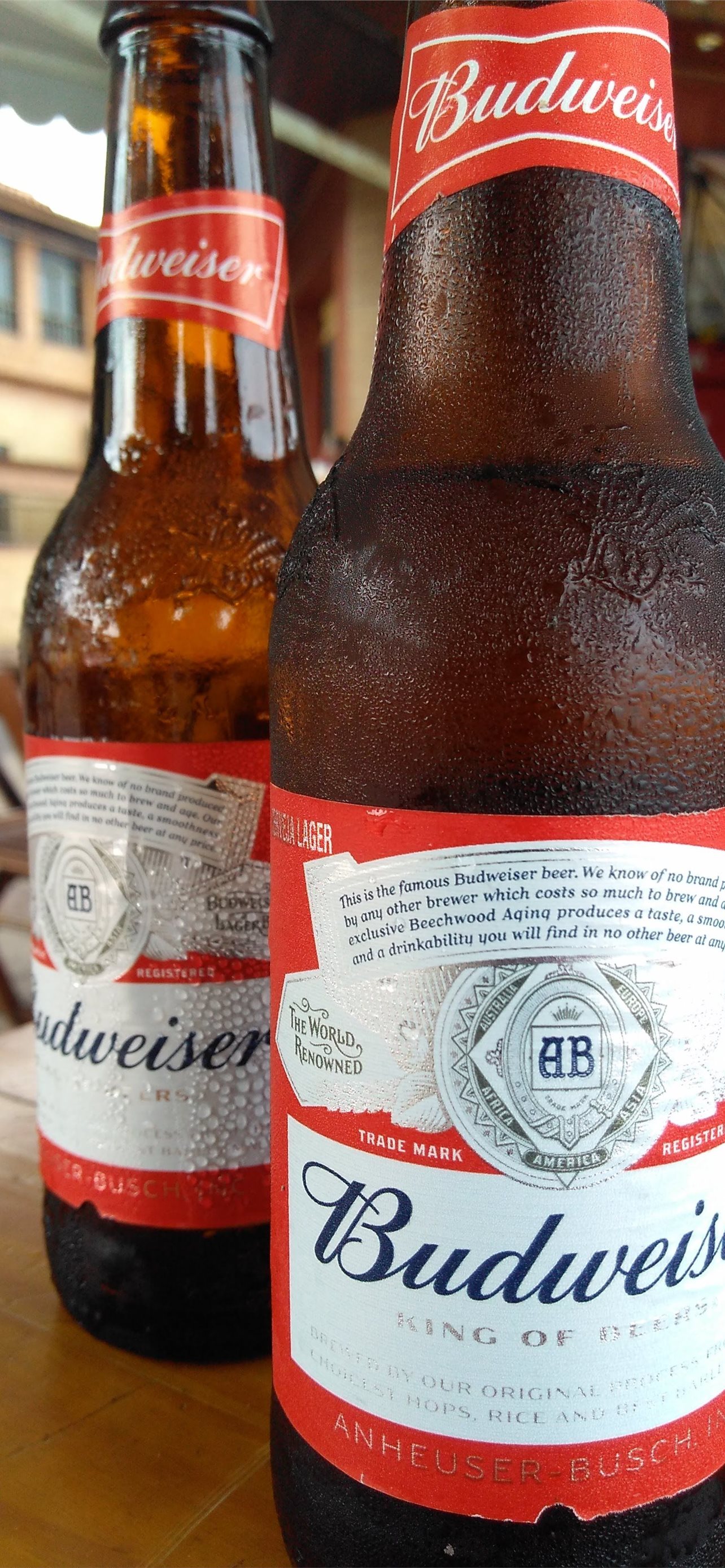 Best anheuser busch iphone hd wallpapers