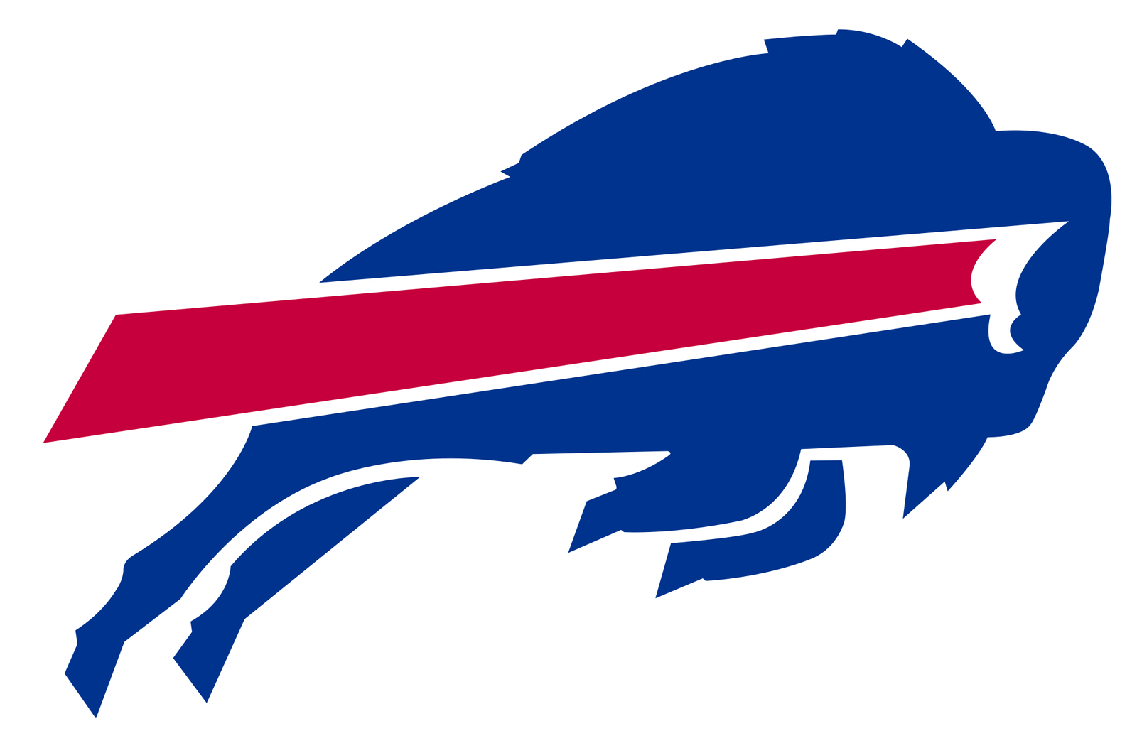 Buffalo bills logo and the history behind the team