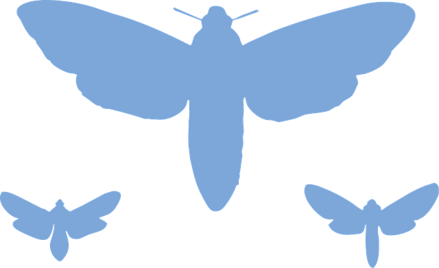 Over free moth vectors