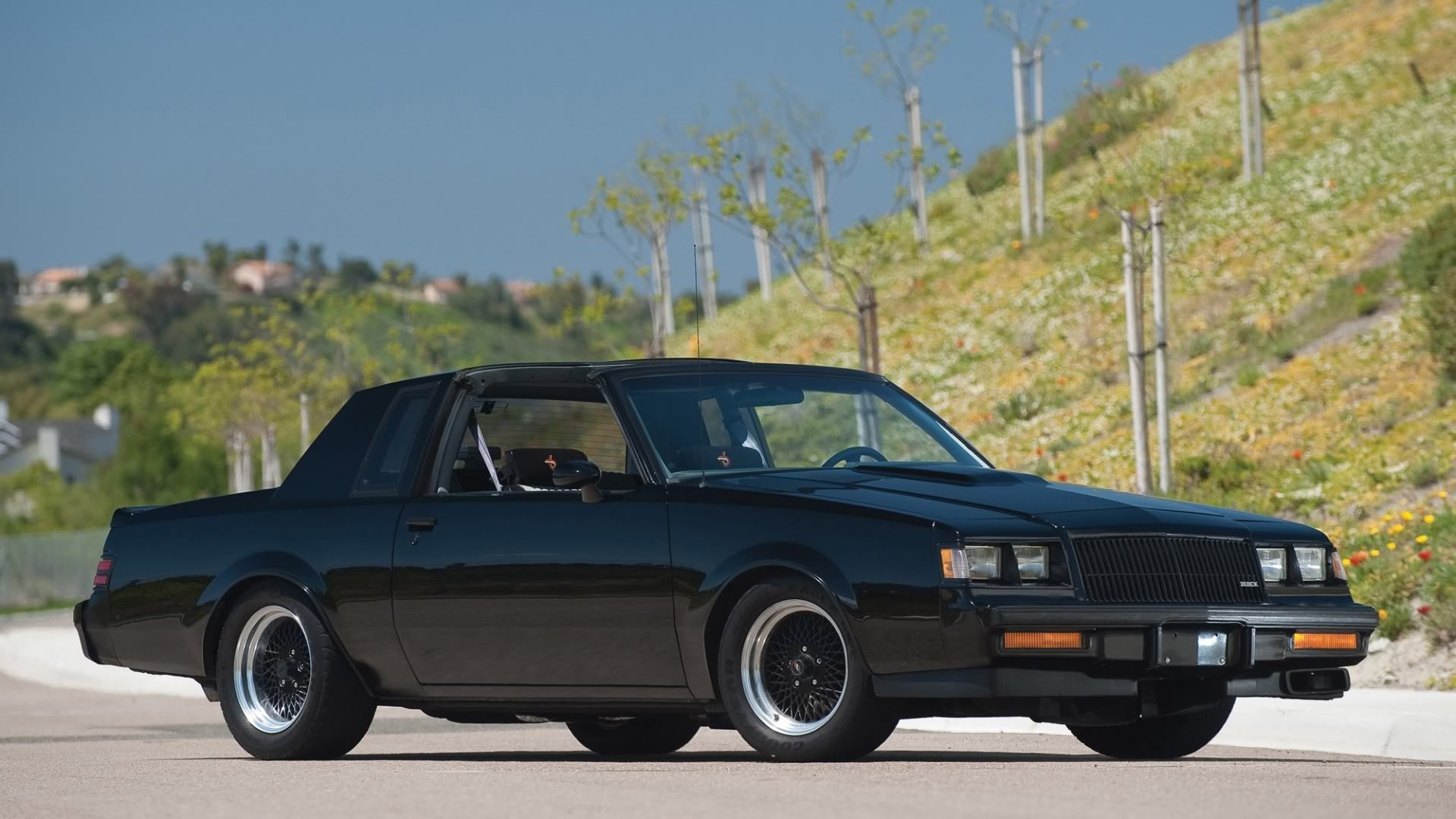 Download Free 100 + buick gnx wallpaper