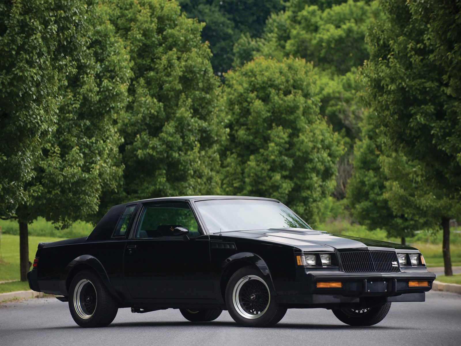 Buick regal grand national gnx