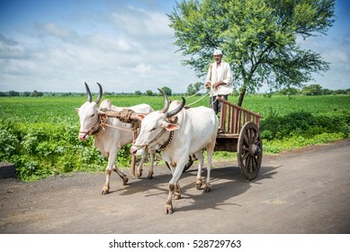 Bullock cart images stock photos vectors