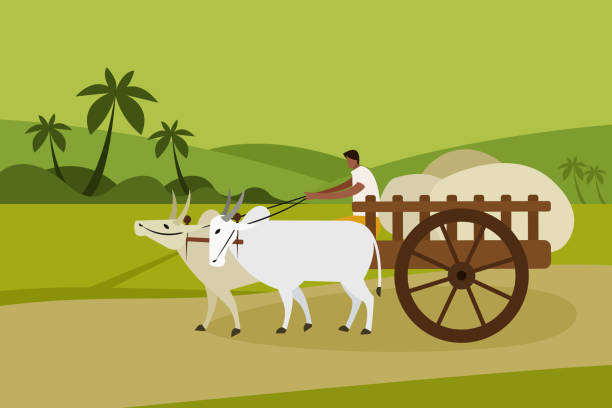 Bullock cart stock photos pictures royalty