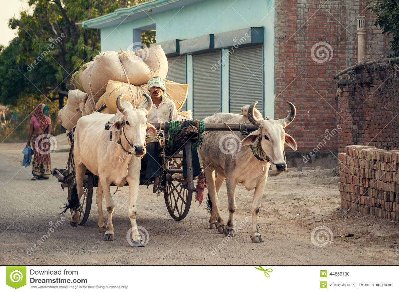 Indian bullock cart stock photos