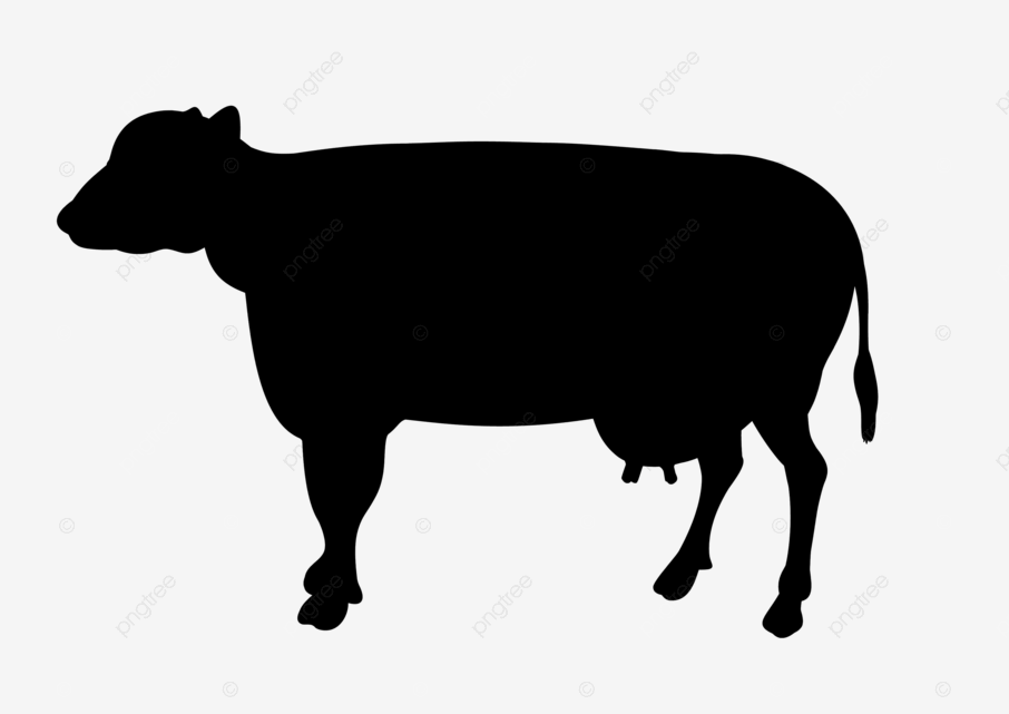 Cow animal s black udder cartoon milk png transparent image and clipart for free download