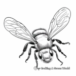 Bumble bee coloring pages