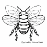 Bumble bee coloring pages