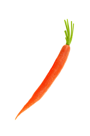 Carrot png vector psd and clipart with transparent background for free download