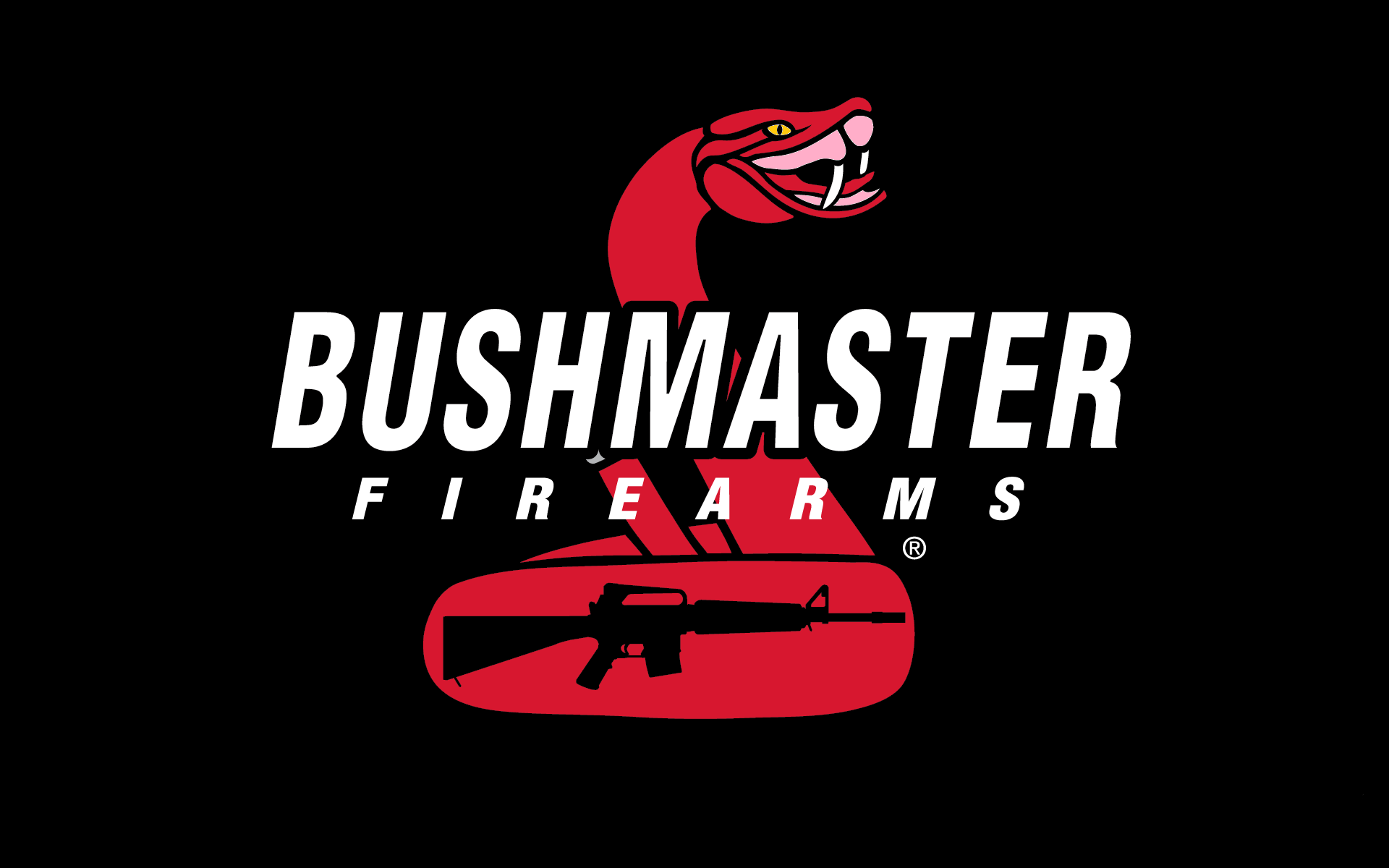 Pin on i love my bushmaster