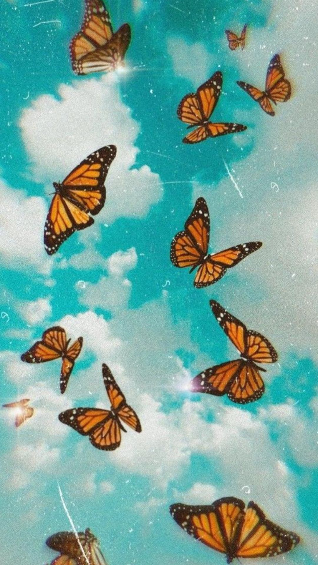 Butterflies hd wallpapers