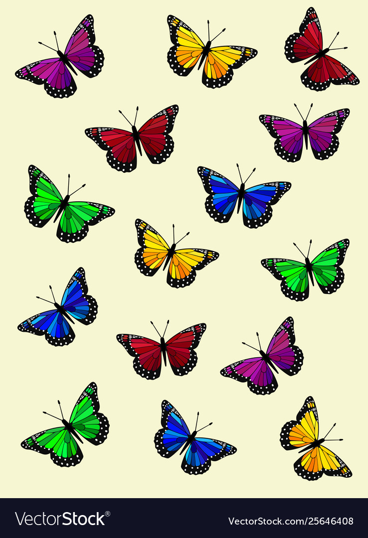 Colorful rainbow butterflies
