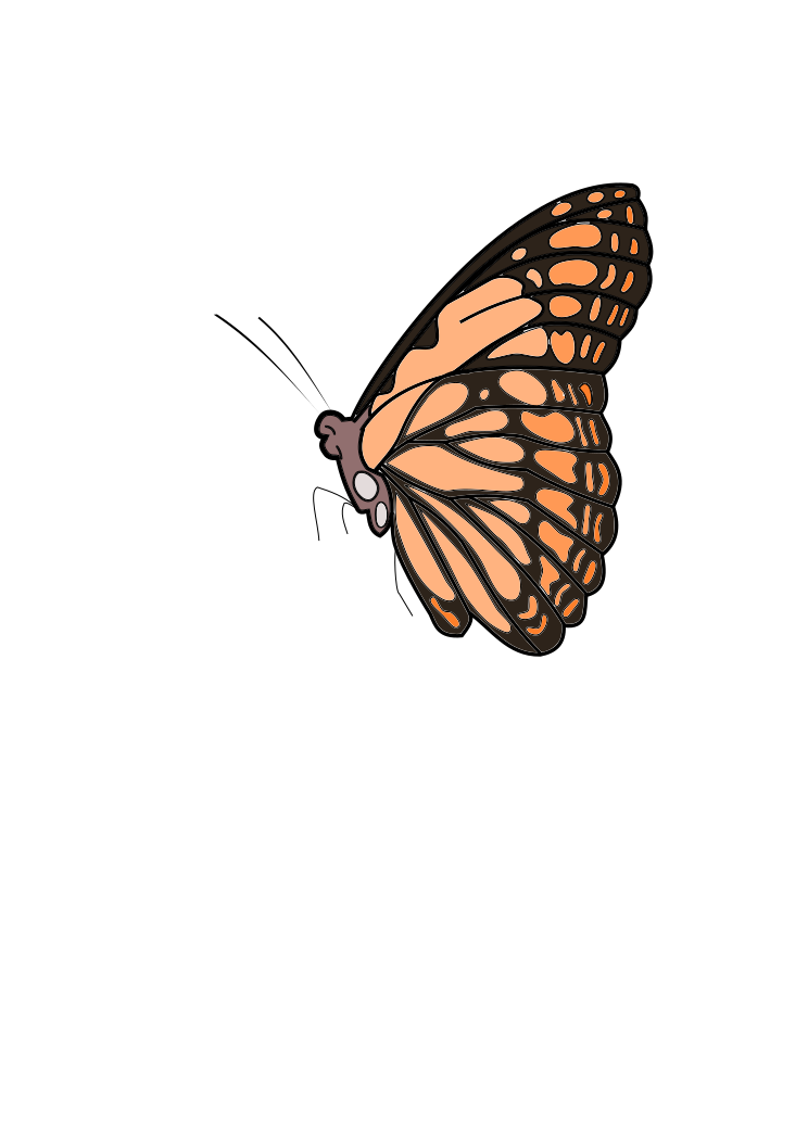 A butterfly in a black background clip art image