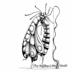 Chrysalis coloring pages
