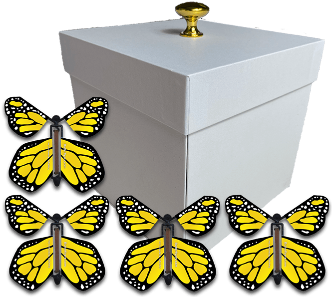 White exploding butterfly box with monarch flying butterflies