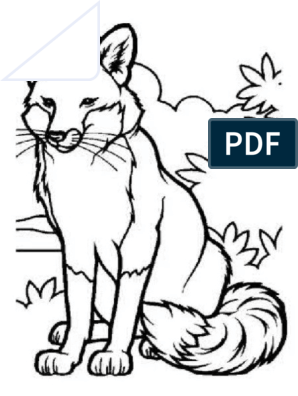 Animal pdf