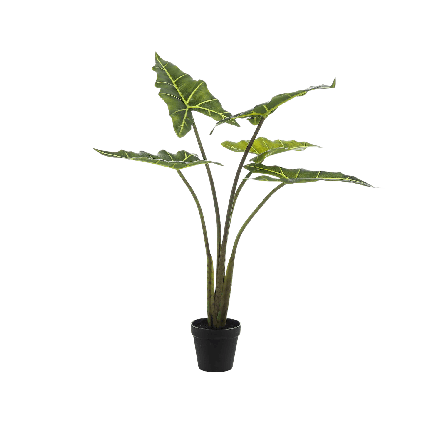 Artificial alocasia frydek indoor plant