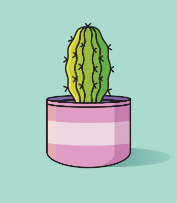 Creating simple flat vector cactus illustration in adobe illustrator xenia sorokina