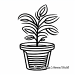 Succulent coloring pages