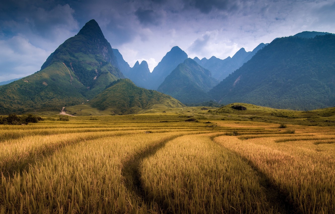 Wallpaper field mountains mountain vietnam province lao cai fansipan images for desktop section ðñðñððð