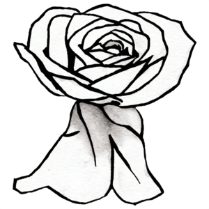 Scarica disegno astratto di una rosa