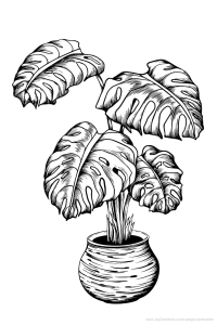 Houseplants coloring page monstera deliciosa and fun ideas for using it