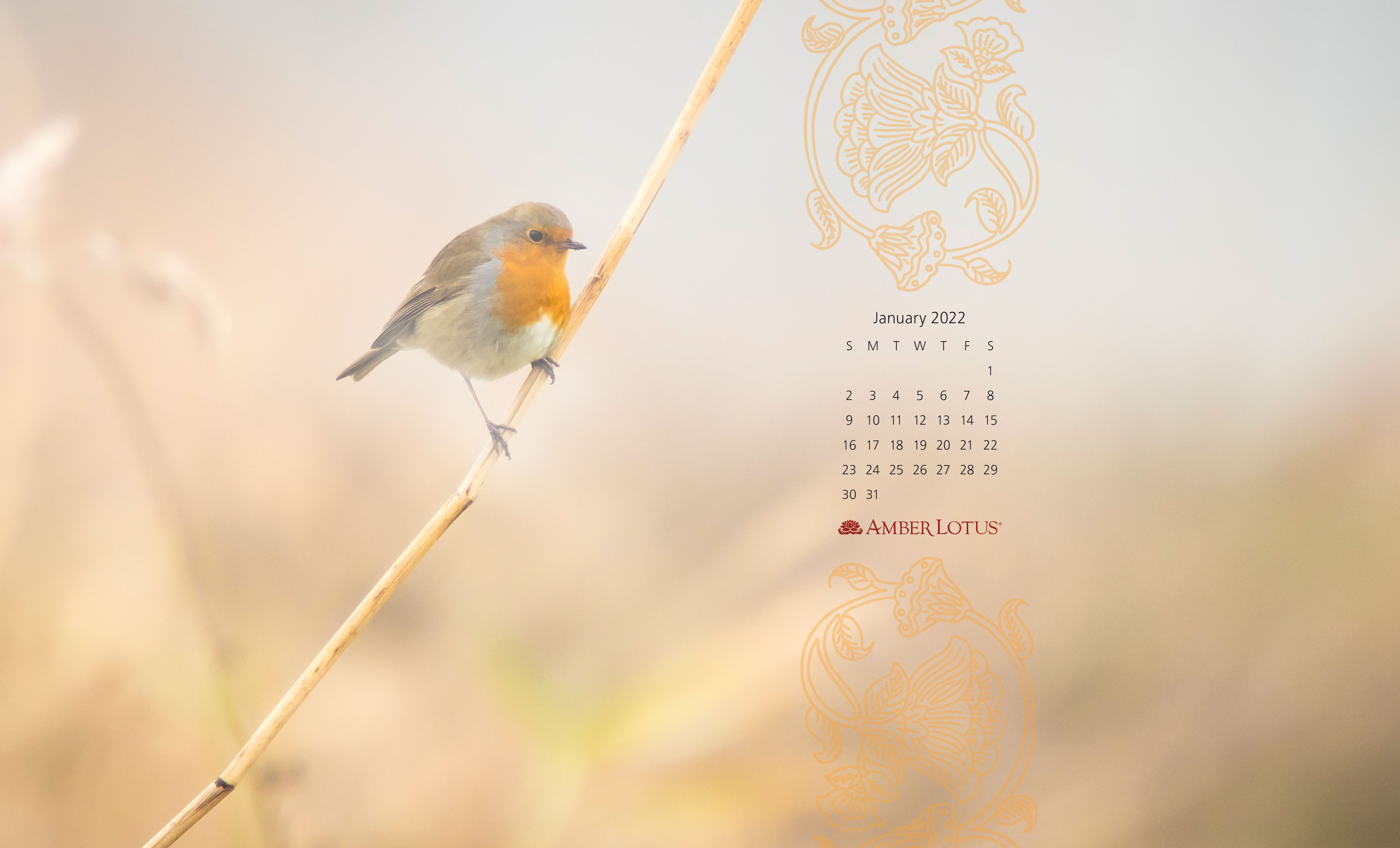 Calendar wallpapers â january â free to download