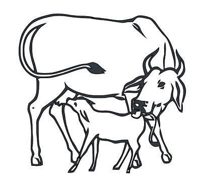 Image result for dairy cow faces coloring pages cow coloring pages cow calf cow logo