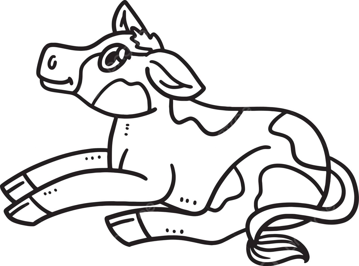 Calf coloring page png transparent images free download vector files