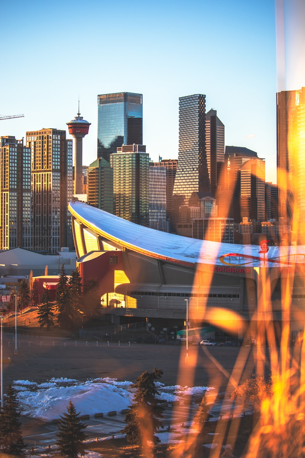 Calgary pictures download free images on