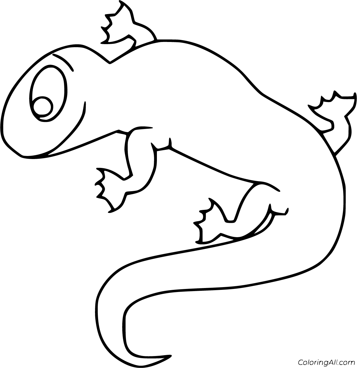 Newt coloring pages